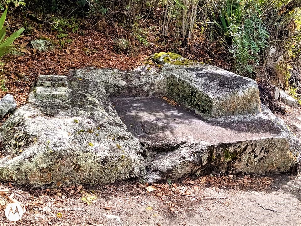 242948071_10226471010018699_52945263184476873_n